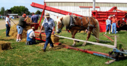 Horse Powered Baler