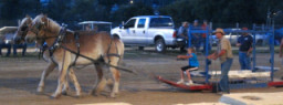 Horse Pull