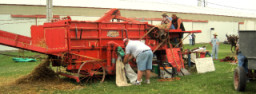 Horse Powered Thresher