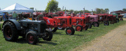 Rows of Antique Tractors