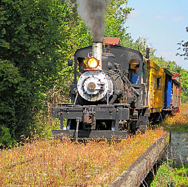 Steam Train Scene